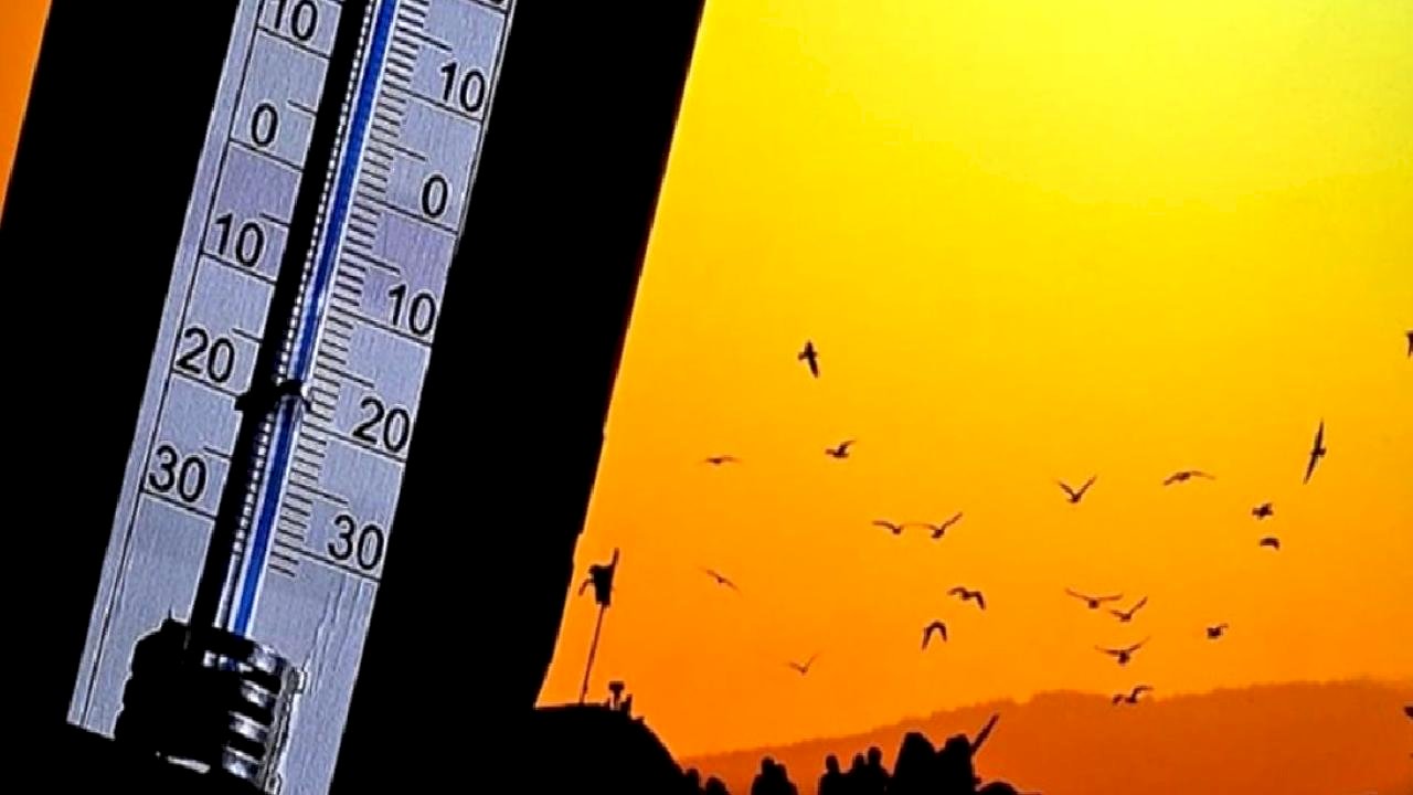 Türkiye'de son yarım asrın en sıcak 3'üncü şubat ayı yaşandı