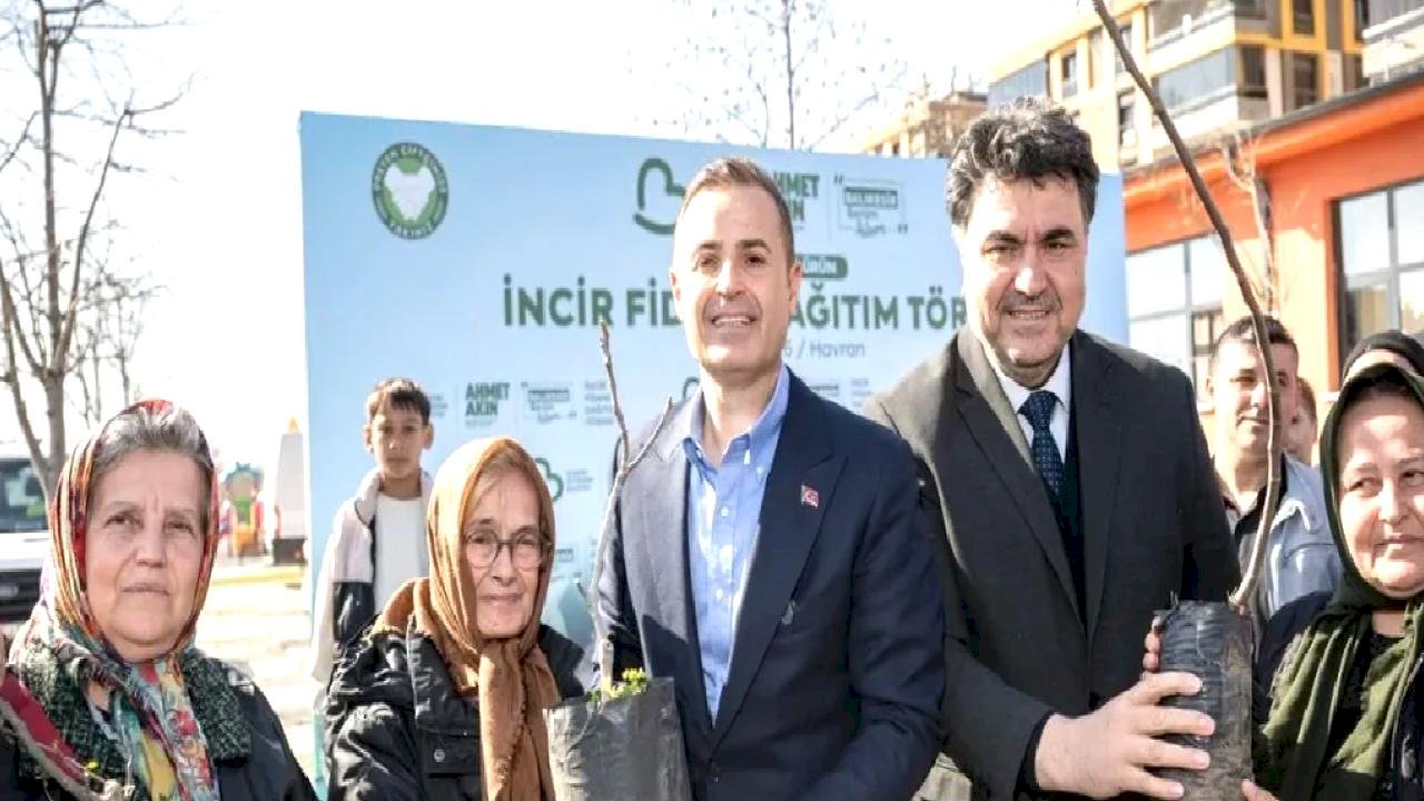 Üreticilere incir fidanı desteği