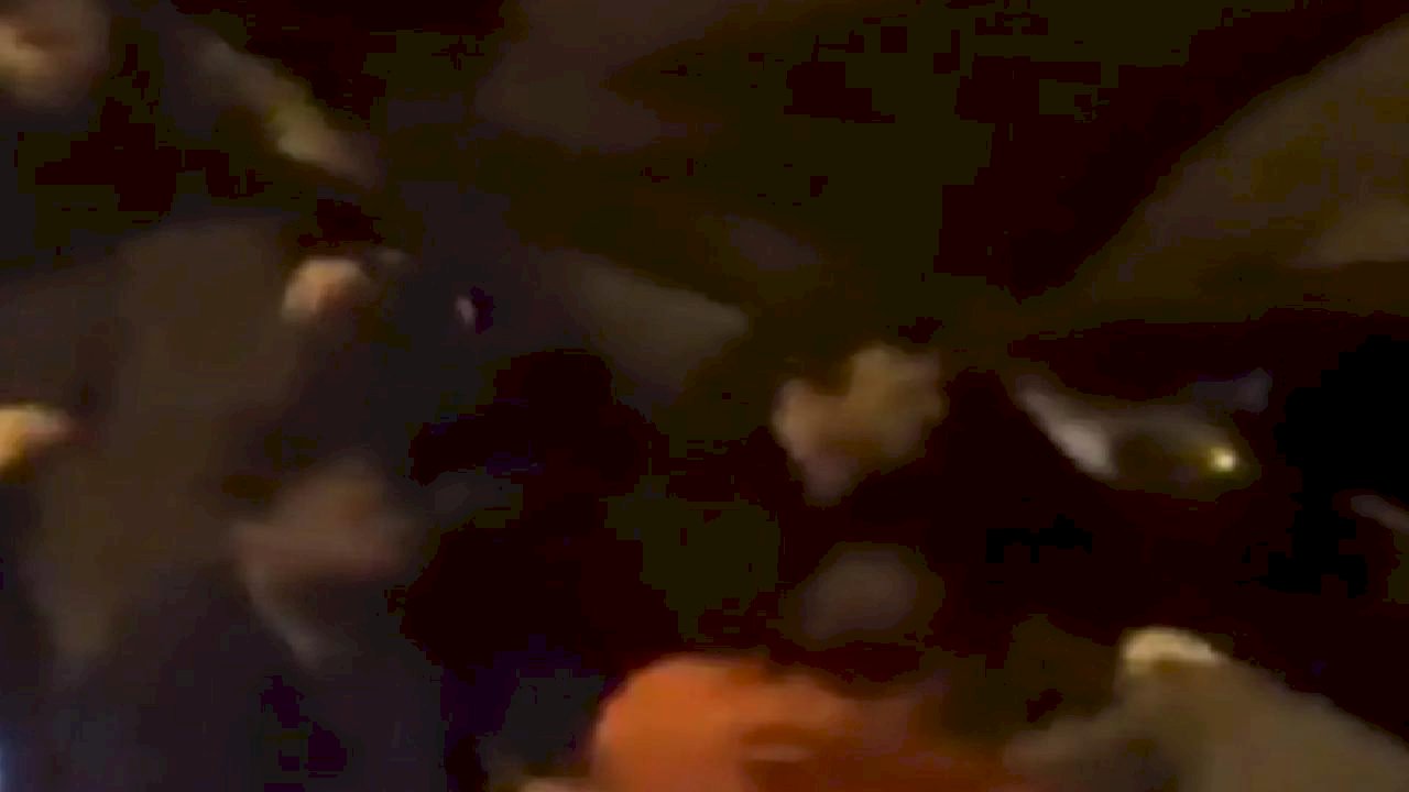 Üsküdar'da Yolda Kavga: Ters Yönden Gelen Araç Tartışmaya Neden Oldu