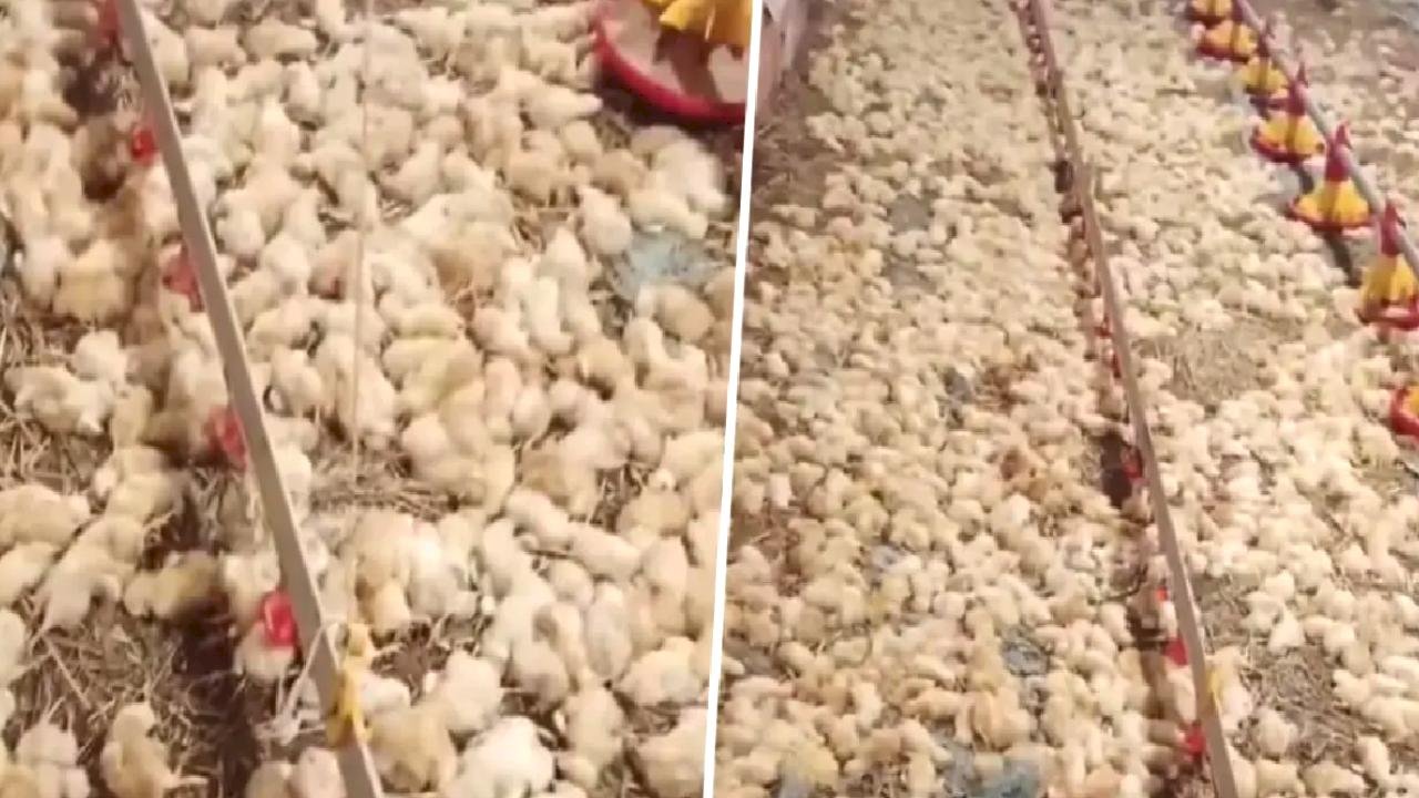 Yeni işe soyunan genç, sabah uyanınca hayatının şokunu yaşadı