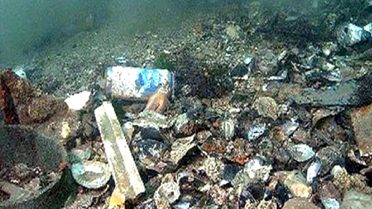 Yurt genelinde, denizlerden 325 bin ton atık temizlendi