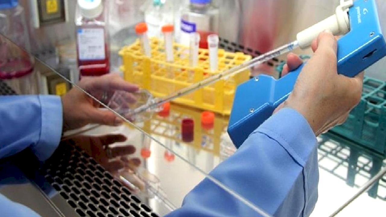 Ankara'da kanser taramasında hedef 1 milyon