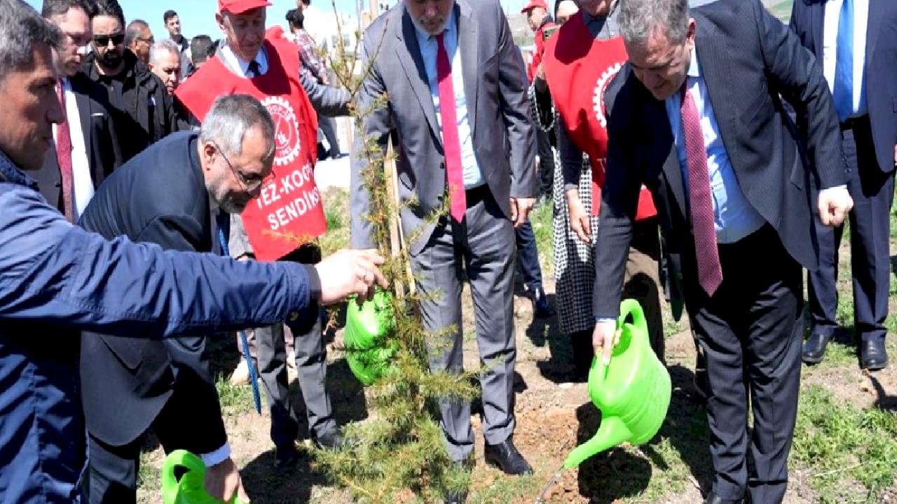 AYBÜ'de 2 Bin Fidan Dikildi