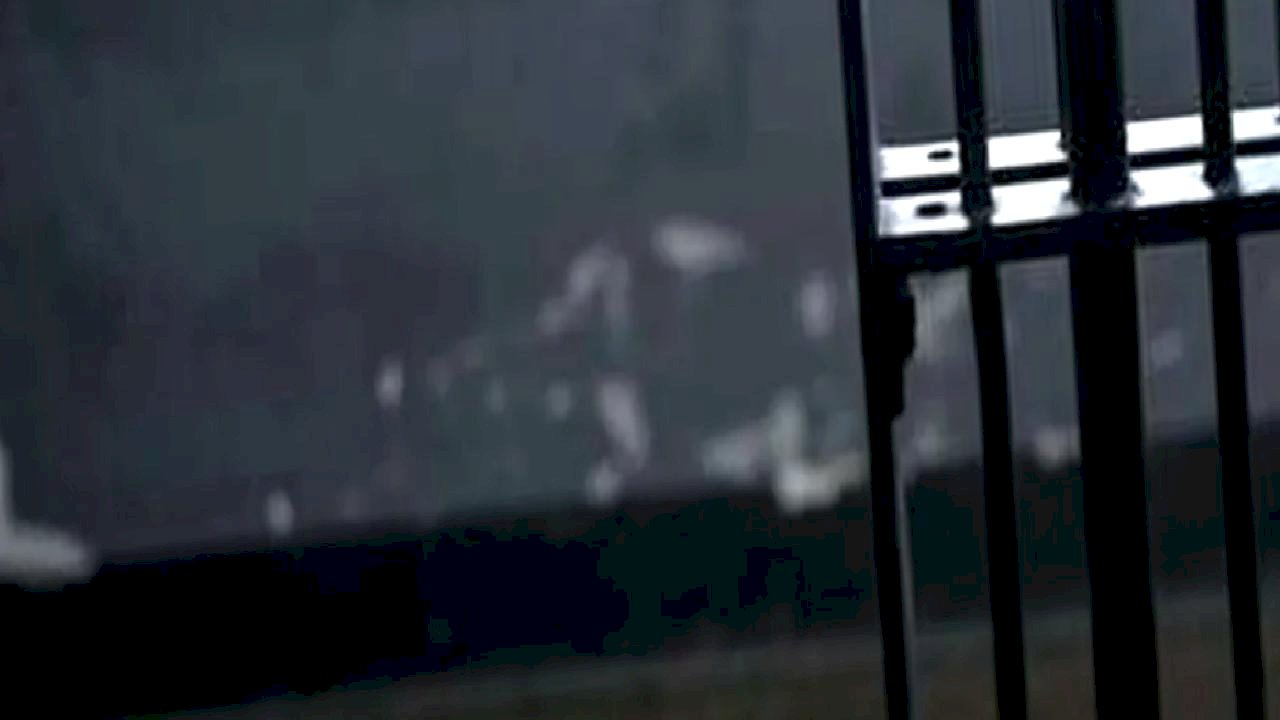 Bakırköy Cumhuriyet Başsavcılığı açıkladı... Cezaevi aramaları ve dolandırıcılık iddiaları asılsız!