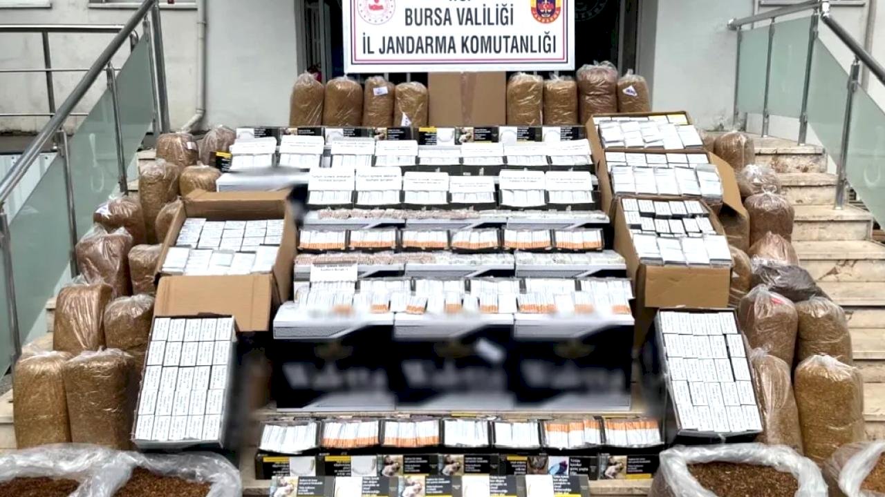 Bursa Gemlik’te kaçak tütün operasyonu