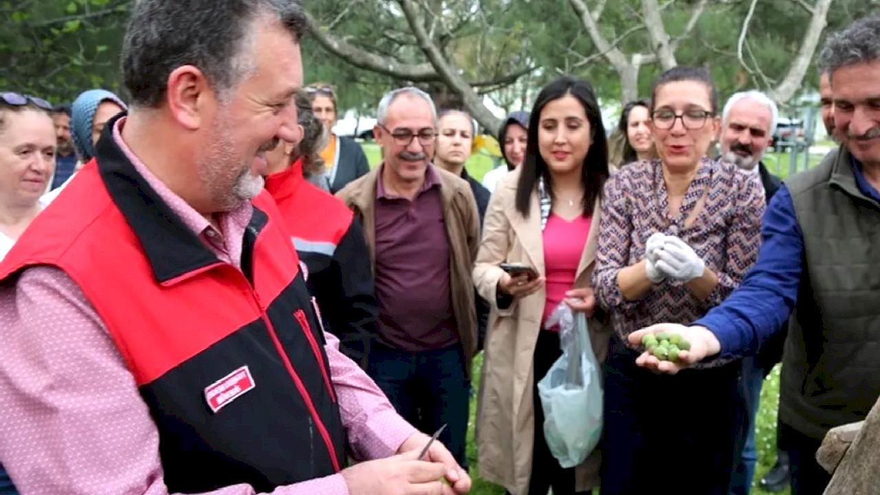 Bursa siyahı incirde sıkı denetim