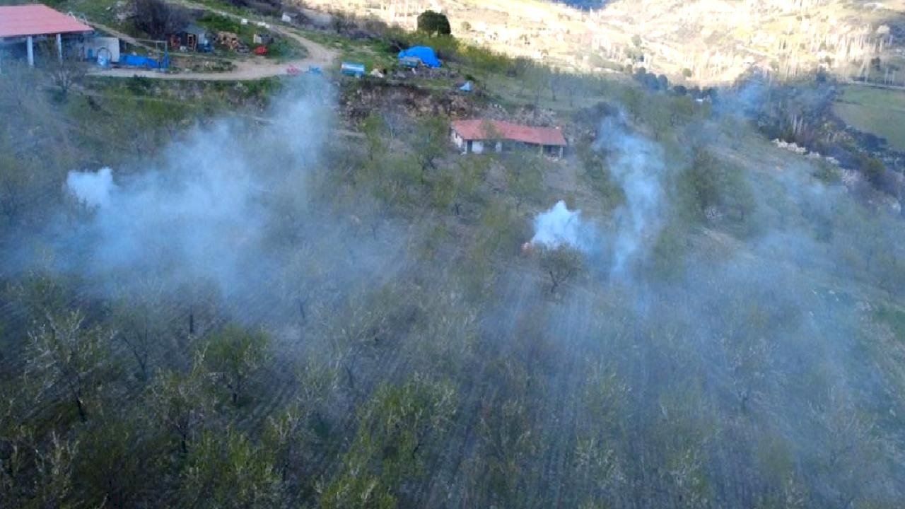 Demirci'de Badem Üreticileri Don Riskiyle Mücadele Ediyor