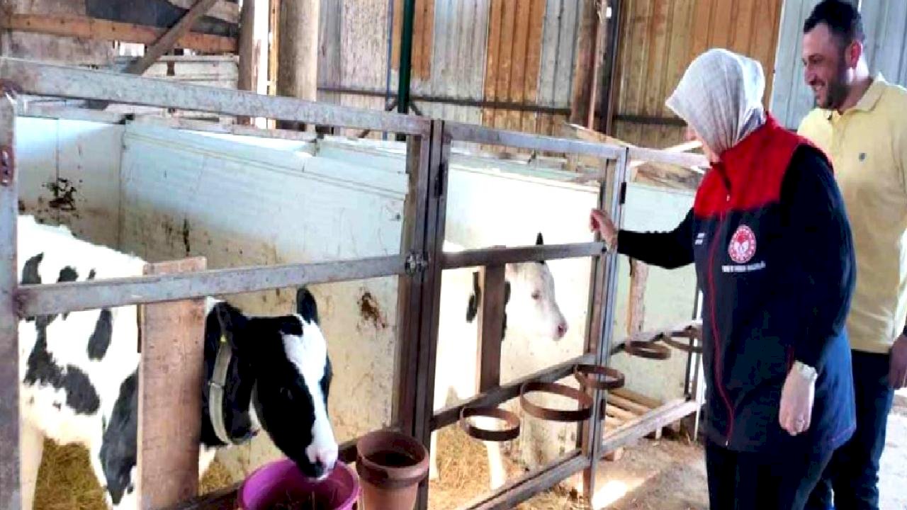 Düzce'de Hastalıktan Ari İşletme Sertifikası