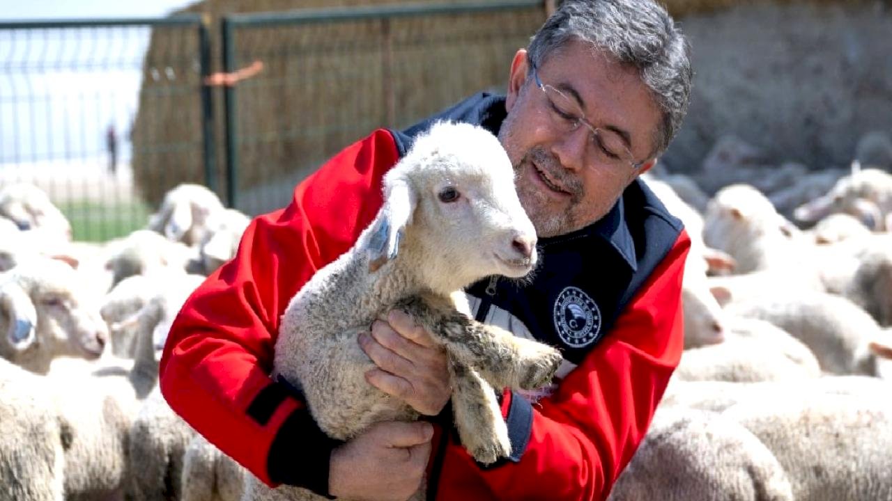 Hayvancılığa destek sürüyor: 150 bin küçükbaş için son gün 30 Nisan