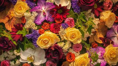 Hediyenizi Özelleştirin: Karakterine ve Zevkine En Uygun Çiçek Hangisi?