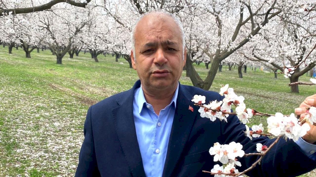 Iğdır'da Kayısı Ağaçları Çiçek Açtı