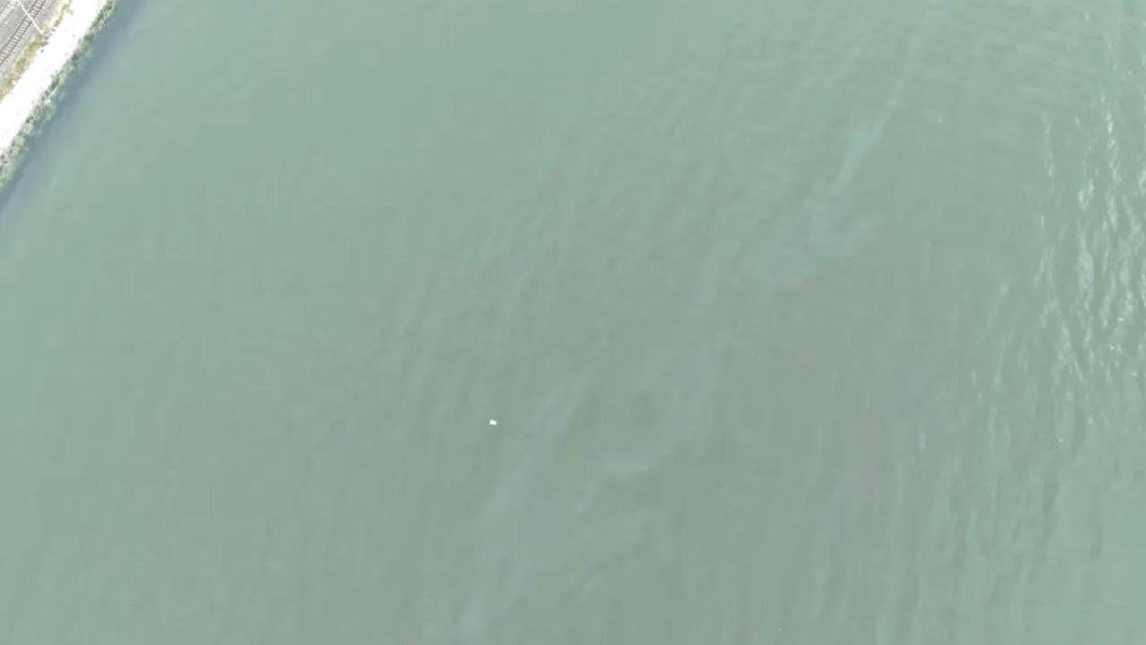 İzmir Körfezi’nde kirlilik endişelendiriyor! Aynı tehdit 11. kez görüldü