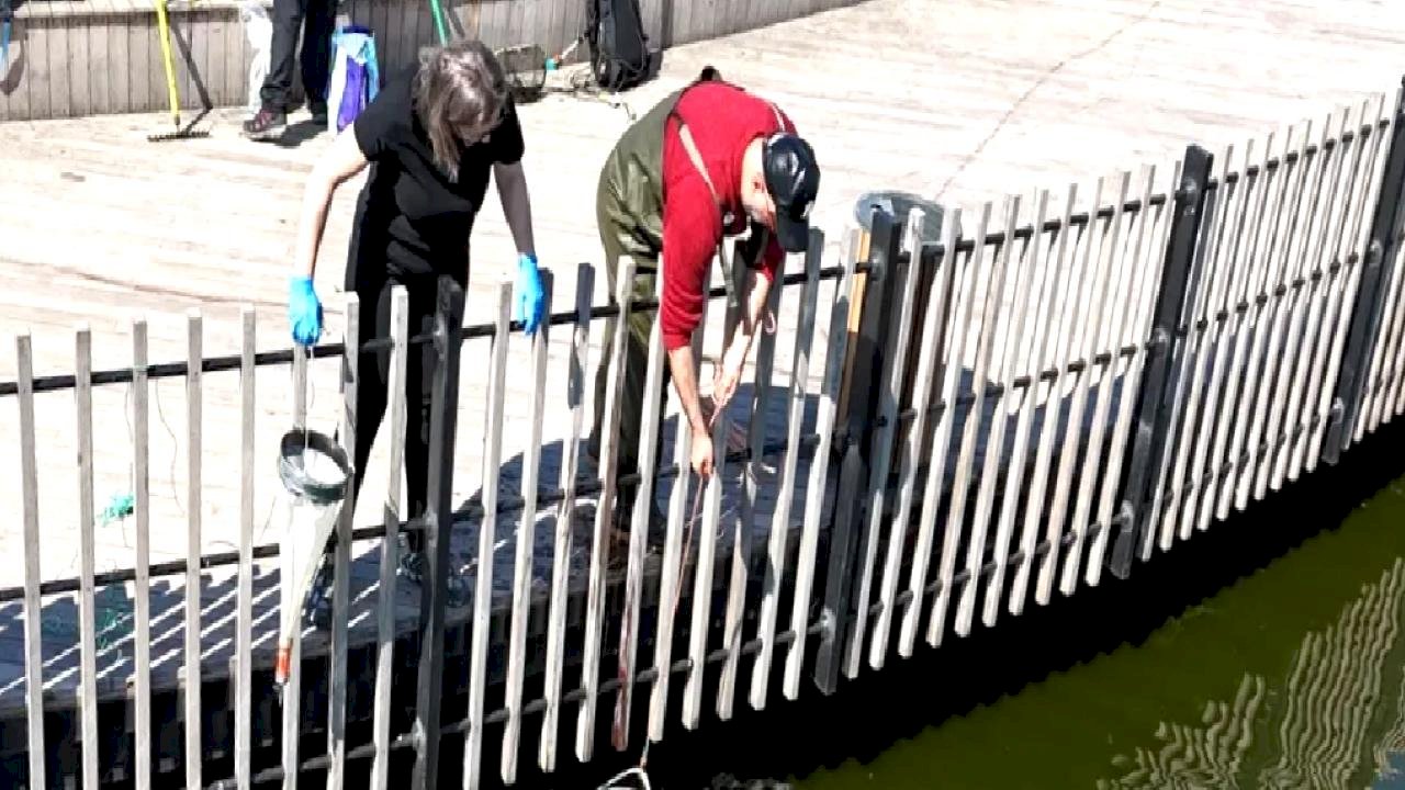 İzmit Millet Bahçesi’nde su göletine bilimsel çalışma