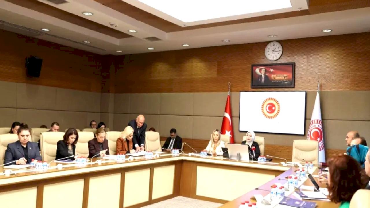 Kadına Yönelik Şiddet Raporu: Koruma Eksikliği