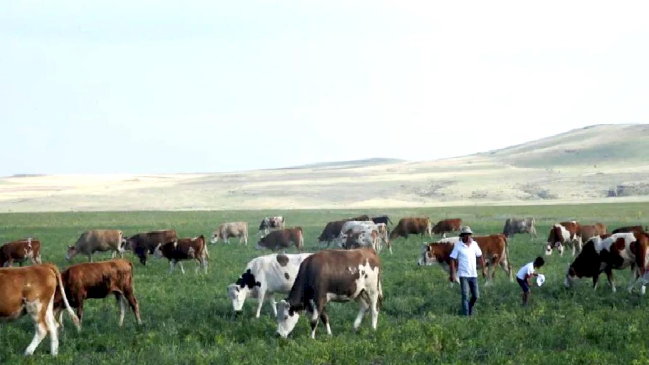 Kars Ani'de meralar yasaklandı mı? Açıklama geldi