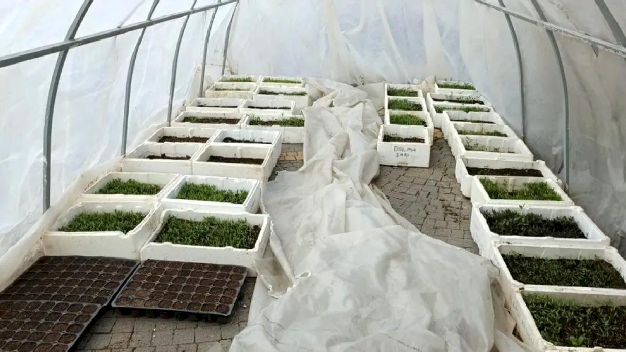 Kayseri Büyükşehir'in Doğal Ürünler Pazarı'nda geri sayım