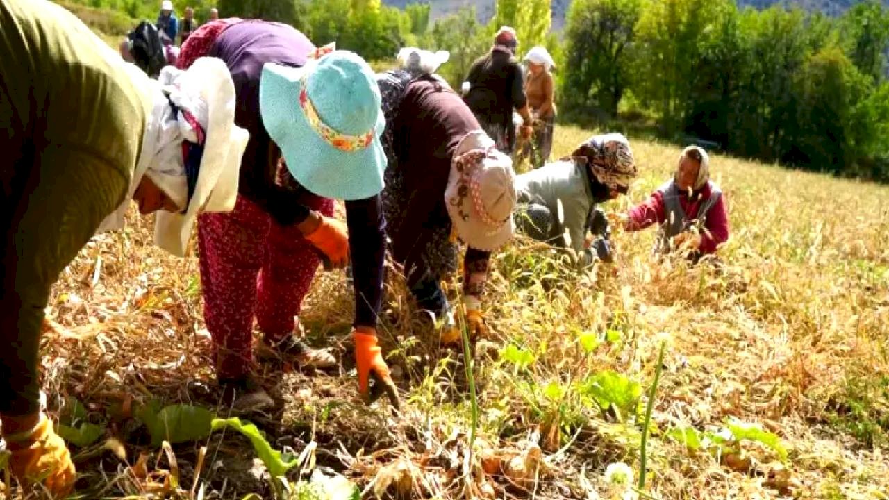 Kırsal Kalkınmaya Hibe Desteği