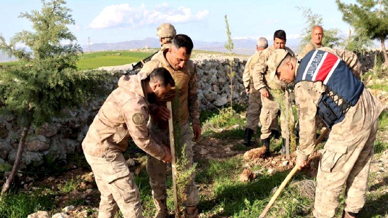 Kurtalan'da 1000 Fidan Dikildi