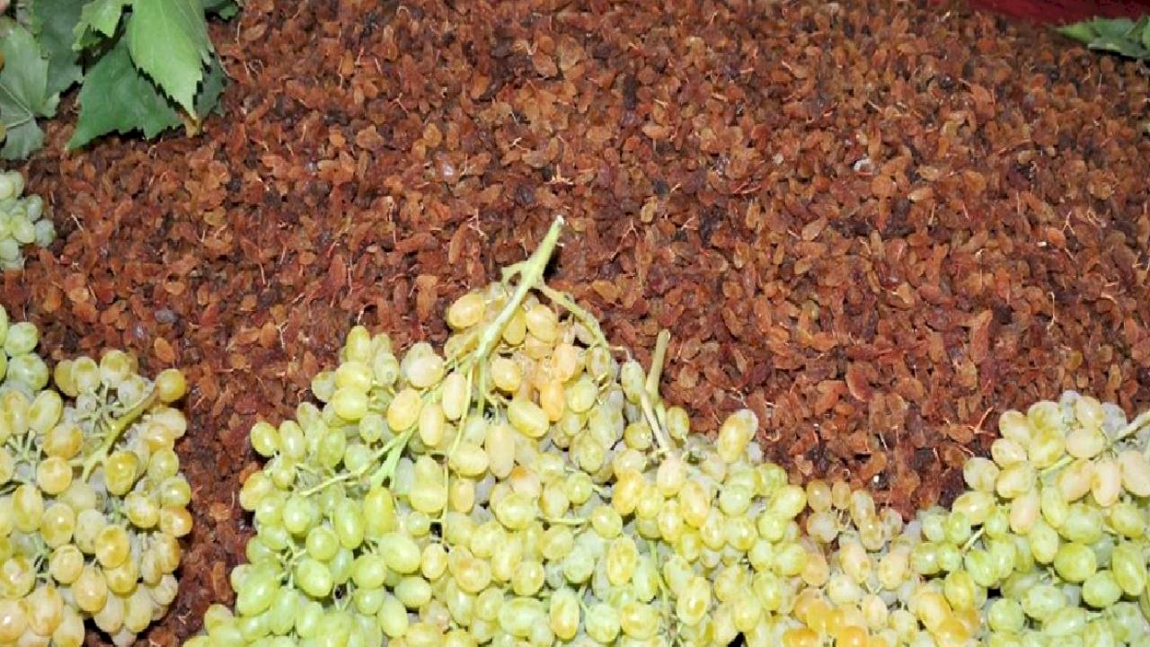 Kuru Meyve İhracatı 404 Milyon Dolar