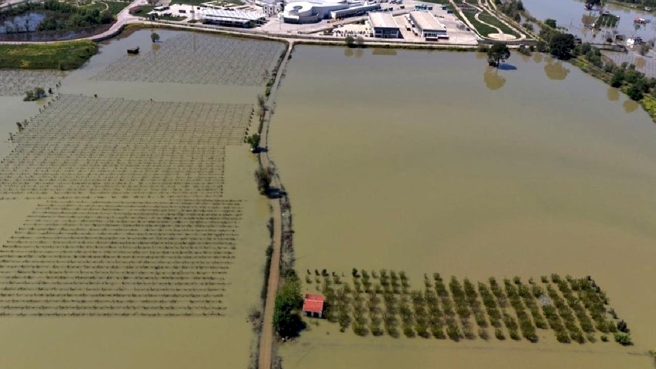 Manisa'da sağanak sonrası akarsular taştı: Tarım arazileri sular altında kaldı