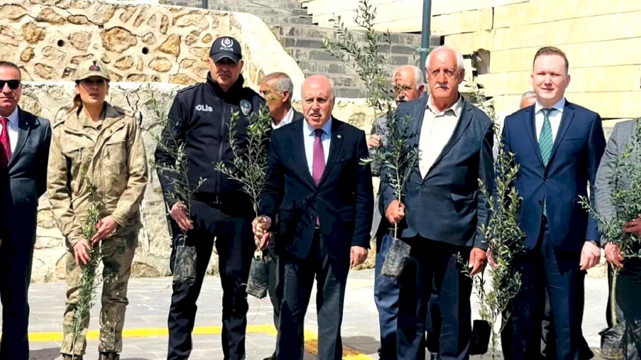 Mardin Yeşilli’de tarihi rekor! 102 bin meyveli fidan dağıtıldı