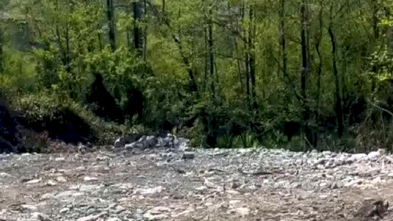 Rize’de vahşi depolamaya milyonluk ceza! Çevre'den suç duyurusu