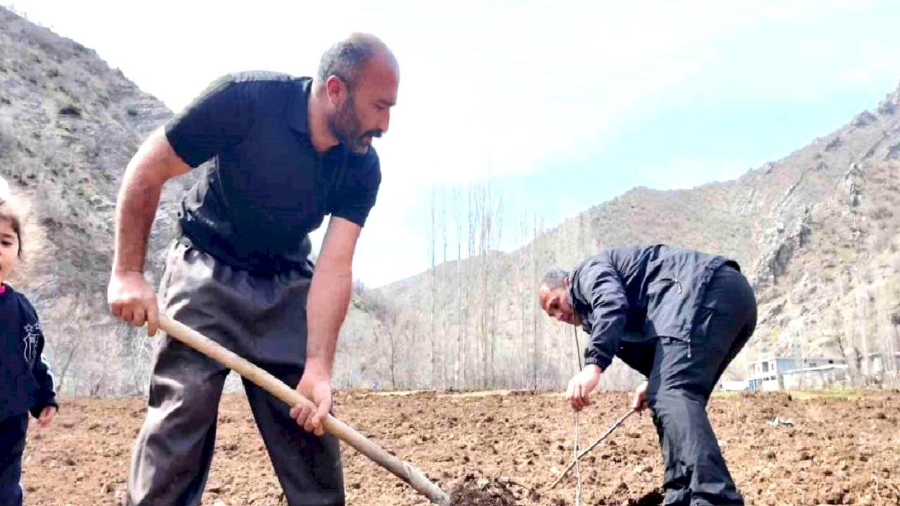 Şırnak'ta Çiftçiye Devlet Desteği