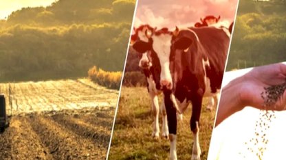 17,4 milyar TL'lik tarımsal destek çiftçilerin hesabında