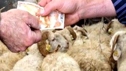 2026 Yılı Kurban Hizmetleri Tebliği 'Resmi'leşti... İstanbul'a kurbanlık girişleri 11 Mayıs'ta başlıyor