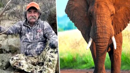 ABD'li milyoner avcı fillerin altında can verdi