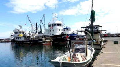 Balık Av Sezonu Kapanıyor, Bolluk Yaşandı