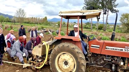 Başkan Pütün tütün sezonun başlamasıyla birlikte üreticiyle tarlada buluştu