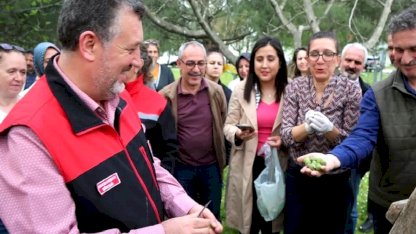 Bursa siyahı incirde sıkı denetim