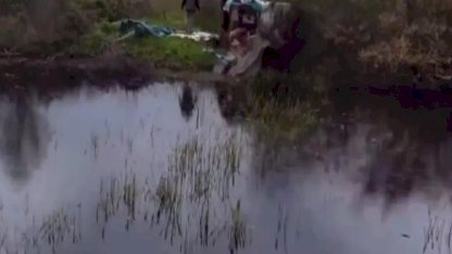 Bursa'da sulak alanlarda gümeler imha edildi