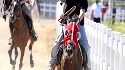Bursa’nın Fethi’nin 700’üncü yılında 'Rahvan At Yarışları' heyecanı... 78 at birinciliğe koştu