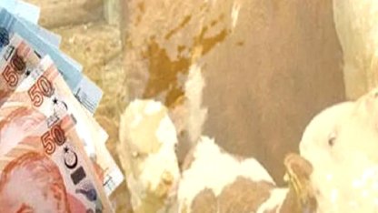 Çiftçiye 350,9 milyon TL destek ödemesi hesaplarda