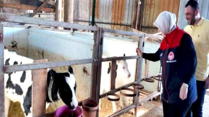 Düzce'de Hastalıktan Ari İşletme Sertifikası