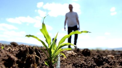 Gübre fiyatlarını dengeleyecek vergi kararı