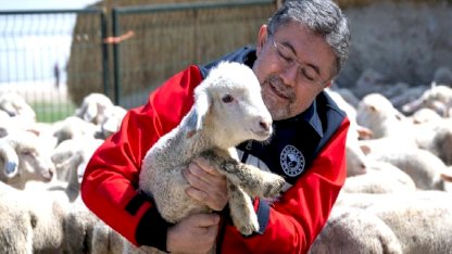 Hayvancılığa destek sürüyor: 150 bin küçükbaş için son gün 30 Nisan