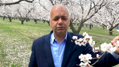 Iğdır'da Kayısı Ağaçları Çiçek Açtı