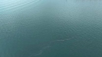 İzmir Körfezi’nde dış kaynaklı kirliliğin önüne geçilemiyor