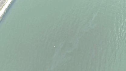 İzmir Körfezi’nde kirlilik endişelendiriyor! Aynı tehdit 11. kez görüldü