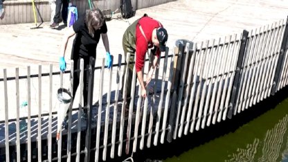 İzmit Millet Bahçesi’nde su göletine bilimsel çalışma