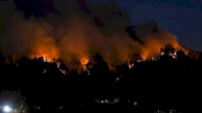 Japonya’da orman yangınları büyüyor: 1000 hektardan fazla alan kül oldu