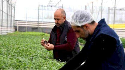 Jeotermal tesiste üretilen çiçekler, kentin renklenmesinde önemli rol alıyor