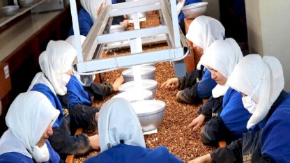 Kadınlar Fındık İhracatında Öne Çıkıyor