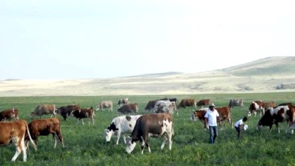 Kars Ani'de meralar yasaklandı mı? Açıklama geldi