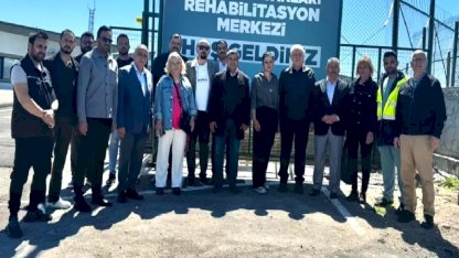 Kayseri Büyükşehir'den can dostlar için örnek hizmet