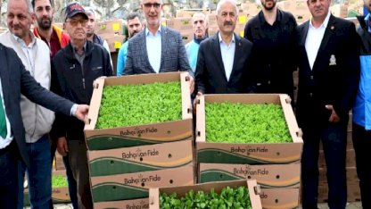 Kocaeli’de çiftçilere sebze fidesi desteği