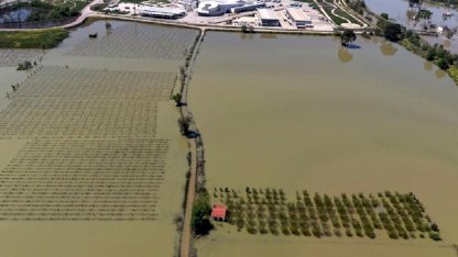 Manisa'da sağanak sonrası akarsular taştı: Tarım arazileri sular altında kaldı